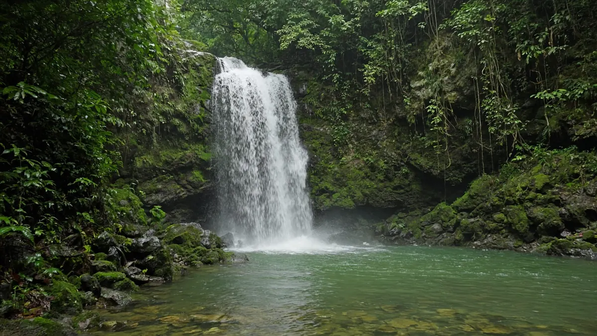 Imagen ilustrativa: cascada pequeña sobre una poza verde