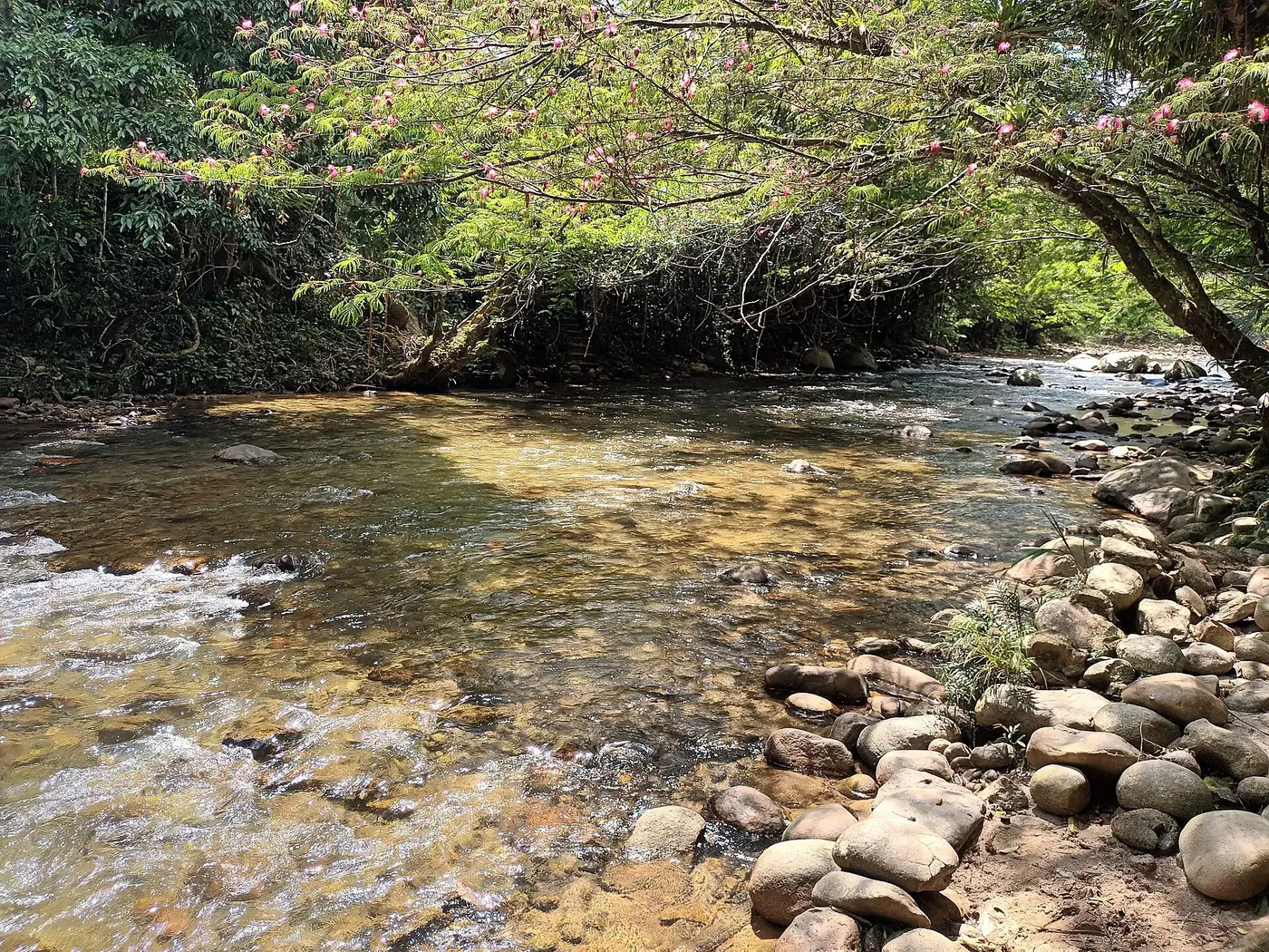 The clear Arenal river running over stones in San Rafael