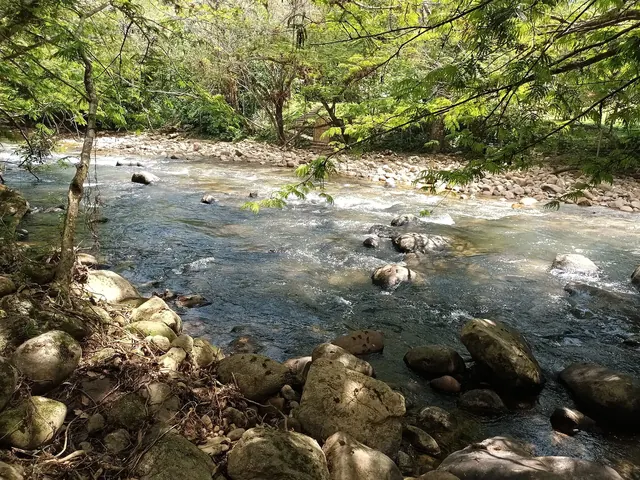 Bank of the Arenal river with rocks and vegetation in San Rafael
