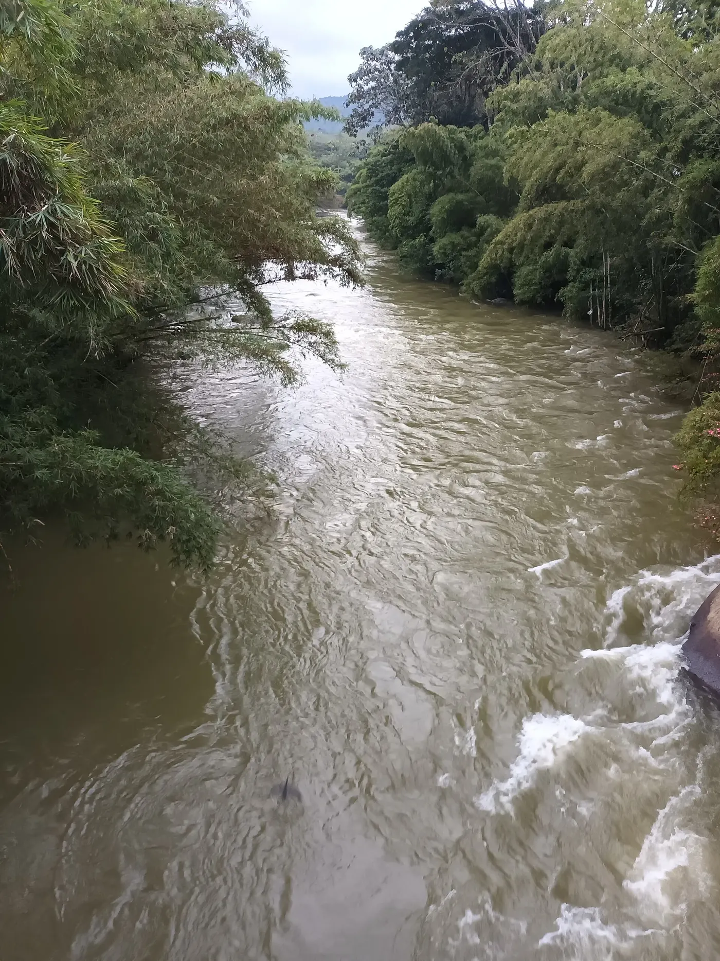 Río Guatapé a su paso por San Rafael